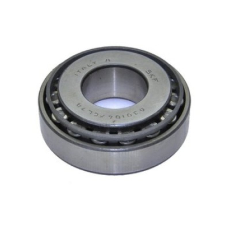 Mahruti İç Rulmanı 124- SKF